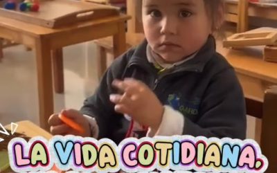 La vida cotidiana, un gran maestro